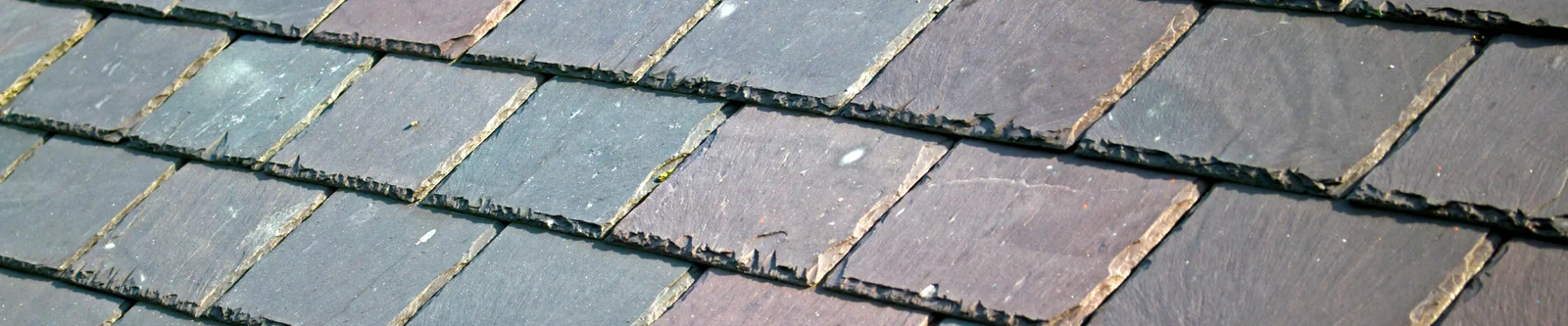 Maintaining Your Roof in Edmonton's Seasonal Climate