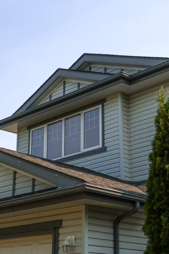 Skylight: Install or Repair?